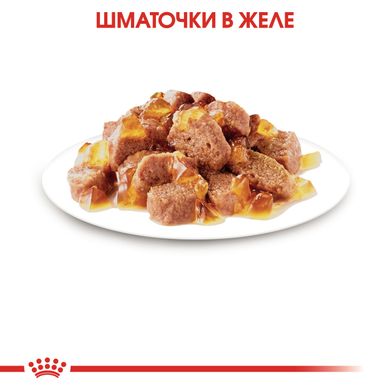 Вологий корм для дорослих стерилізованих котів ROYAL CANIN STERILISED IN JELLY 0.085 кг, 0.085 кг