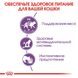 Влажный корм для взрослых стерилизованных кошек ROYAL CANIN STERILISED IN JELLY 0.085 кг, 0.085 кг