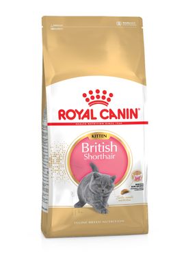 Корм для кошенят породи Британська короткошерста ROYAL CANIN KITTEN BRITISH SHORTHAIR 2.0 кг