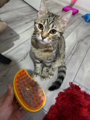 Парова щітка масажер спрей 3 в 1 PET SPRAY MASSAGE BRUSH для вичісування собак і котів з паровим розпилювачем - жовта