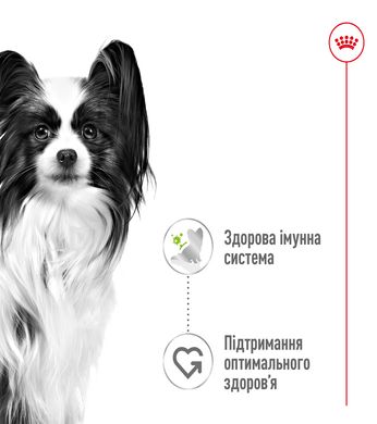 Вологий корм для дорослих собак ROYAL CANIN XSMALL ADULT IN GRAVY 0.085 кг, 0.085 кг