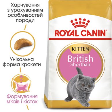 Корм для котят породы Британская короткошерстная ROYAL CANIN KITTEN BRITISH SHORTHAIR 2.0 кг