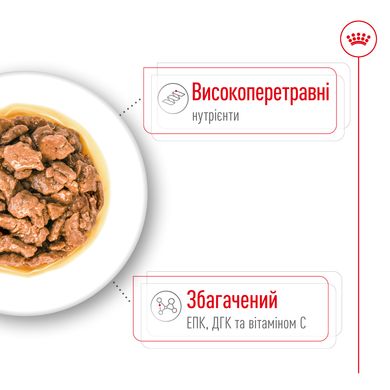 Влажный корм для взрослых собак ROYAL CANIN XSMALL ADULT IN GRAVY 0.085 кг, 0.085 кг