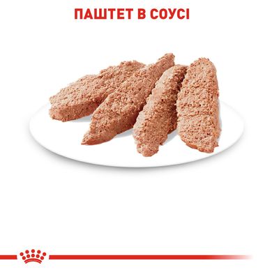 Вологий корм для дорослих стерилізованих котів ROYAL CANIN STERILIZED LOAF 0.085 кг, 0.085 кг