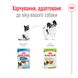 Вологий корм для дорослих собак ROYAL CANIN XSMALL ADULT IN GRAVY 0.085 кг, 0.085 кг