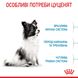 Корм для цуценят мініатюрних порід ROYAL CANIN XSMALL PUPPY 1.5 кг