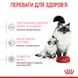 Корм для котят от 1 до 4 месяцев и кошек во время беременности ROYAL CANIN MOTHER&BABYCAT 0.4 кг