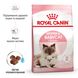 Корм для котят от 1 до 4 месяцев и кошек во время беременности ROYAL CANIN MOTHER&BABYCAT 0.4 кг