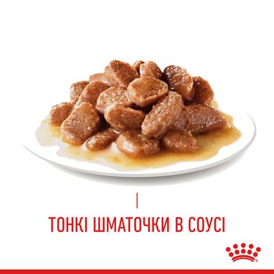 Влажный корм для взрослых кошек ROYAL CANIN HAIR&SKIN CARE IN GRAVY 0.085 кг, 0.085 кг