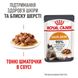 Влажный корм для взрослых кошек ROYAL CANIN HAIR&SKIN CARE IN GRAVY 0.085 кг, 0.085 кг