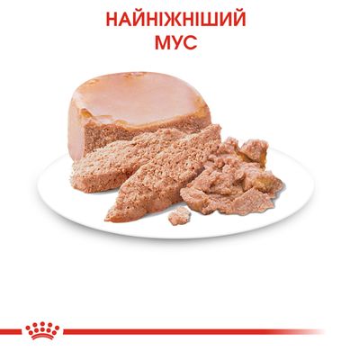 Вологий корм (мус) для кошенят віком від 1 до 4 місяців ROYAL CANIN MOTHER & BABYCAT Cans 0.195 кг, 0.195 кг