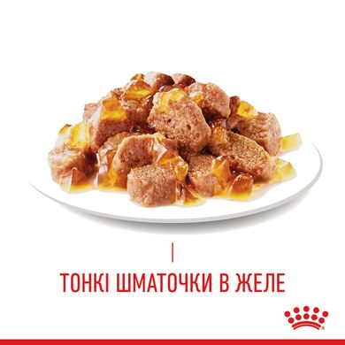 Влажный корм для взрослых кошек ROYAL CANIN HAIR&SKIN CARE IN JELLY 0.085 кг, 0.085 кг