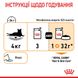 Влажный корм для взрослых кошек ROYAL CANIN HAIR&SKIN CARE IN JELLY 0.085 кг, 0.085 кг