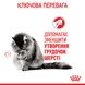 Вологий корм для дорослих котів ROYAL CANIN HAIRBALL CARE 0.085 кг, 0.085 кг