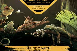 Як промити кокосовий субстрат та як зробити якісний субстрат для равликів АХАТІН ?