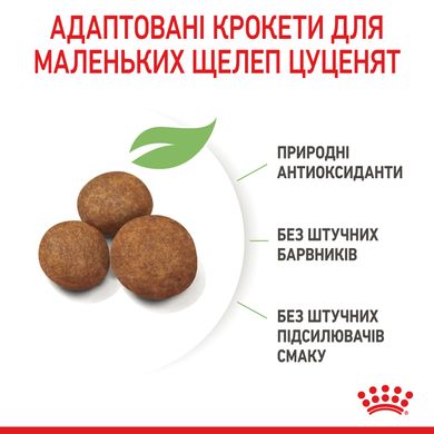 Корм для щенков больших пород собак ROYAL CANIN MAXI PUPPY 4.0 кг