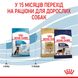 Корм для щенков больших пород собак ROYAL CANIN MAXI PUPPY 4.0 кг