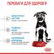 Корм для цуценят великих порід собак ROYAL CANIN MAXI PUPPY 4.0 кг