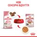 Вологий корм для кошенят ROYAL CANIN KITTEN IN JELLY 0.085 кг, 0.085 кг