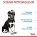 Корм для щенков больших пород собак ROYAL CANIN MAXI PUPPY 4.0 кг