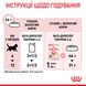 Вологий корм для кошенят ROYAL CANIN KITTEN IN JELLY 0.085 кг, 0.085 кг