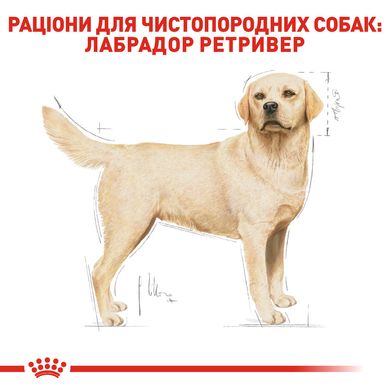 Корм для дорослих собак породи Лабрадор-ретривер ROYAL CANIN LABRADOR ADULT 12.0 кг, 12 кг