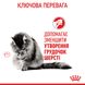 Корм для котів ROYAL CANIN HAIRBALL CARE 2.0 кг, рекомендований для виведення грудок шерсті