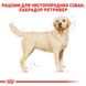 Корм для взрослых собак породы Лабрадор-ретривер ROYAL CANIN LABRADOR ADULT 12.0 кг, 12 кг