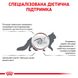 Корм для дорослих котів ROYAL CANIN GASTRO INTESTINAL CAT 2.0 кг