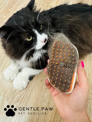 Паровая щетка массажер спрей 3 в 1 GENTLE PAW SPRAY MASSAGE BRUSH для вычесывания собак и кошек с паровым распылителем