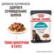 Вологий корм для дорослих котів ROYAL CANIN URINARY CARE 0.085 кг, 0.085 кг