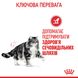 Вологий корм для дорослих котів ROYAL CANIN URINARY CARE 0.085 кг, 0.085 кг