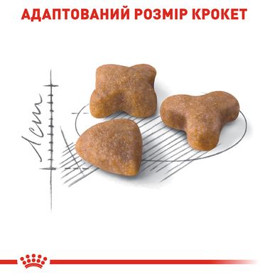 Корм для дорослих котів з чутливою травною системою ROYAL CANIN SENSIBLE 2.0 кг