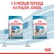 Корм для цуценят гігантських порід ROYAL CANIN GIANT PUPPY 15.0 кг