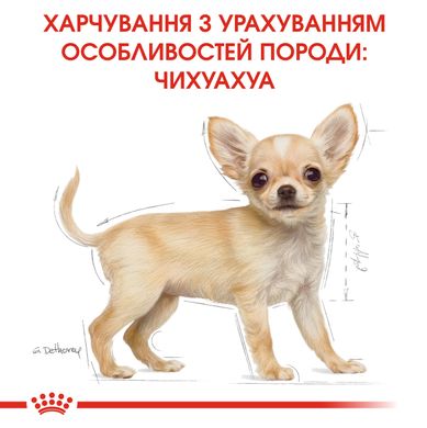 Корм для щенков породы Чихуахуа ROYAL CANIN CHIHUAHUA PUPPY 1.5 кг