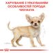 Корм для цуценят породи Чихуахуа ROYAL CANIN CHIHUAHUA PUPPY 1.5 кг