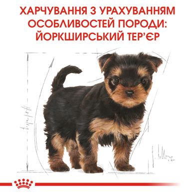 Корм для цуценят породи Йоркшир тер'єр ROYAL CANIN YORKSHIRE PUPPY 1.5 кг