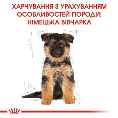 Корм для цуценят ROYAL CANIN GERMAN SHEPHERD PUPPY 3.0 кг, 3 кг