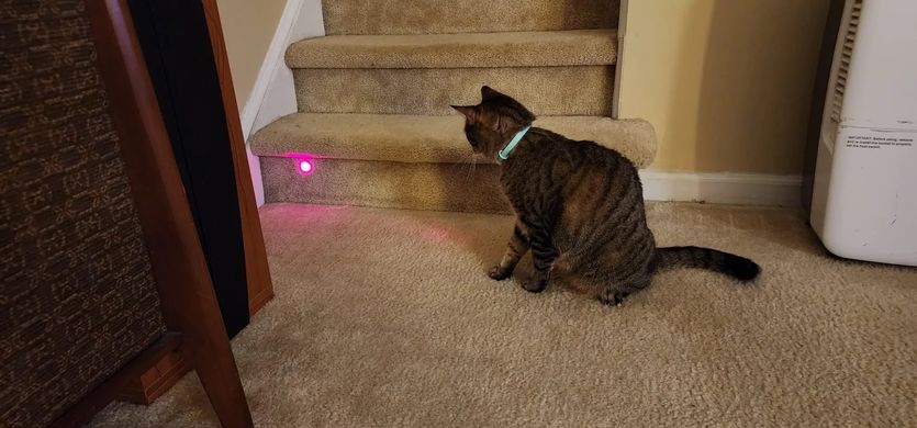 Інтерактивна іграшка смарт ошийник з вбудованим лазером для котів Smart laser collar