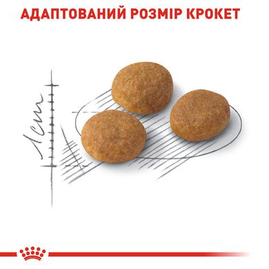 Корм для котів ROYAL CANIN EXIGENT AROMA 2.0 кг, вибагливих до аромату корму, 2 кг