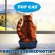 Наполнитель в кошачий лоток (туалет) силикагелевый TOP CAT Premium 3.8 л