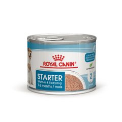 Вологий корм для новонароджених цуценят та собак у період лактації ROYAL CANIN STARTER MOUSE 0.195 кг, 2.34 кг