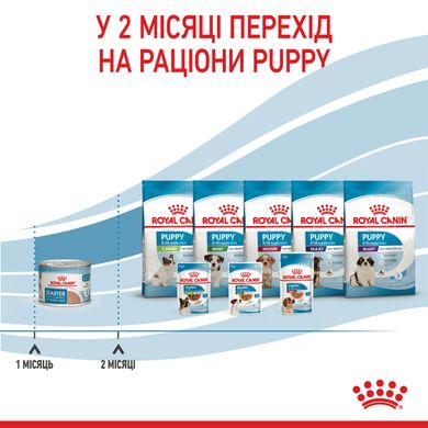 Влажный корм для новорожденных щенков и собак в период лактации ROYAL CANIN STARTER MOUSE 0.195 кг, 2.34 кг