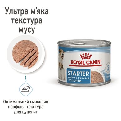 Вологий корм для новонароджених цуценят та собак у період лактації ROYAL CANIN STARTER MOUSE 0.195 кг, 2.34 кг