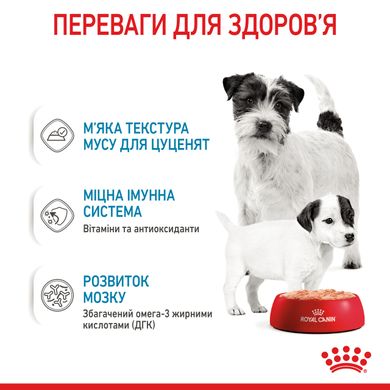 Влажный корм для новорожденных щенков и собак в период лактации ROYAL CANIN STARTER MOUSE 0.195 кг, 2.34 кг