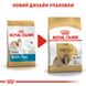 Сухой корм для взрослых собак породы Ши-тцу ROYAL CANIN SHIH TZU ADULT 1.5 кг, 1.5 кг