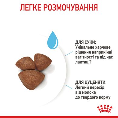 Корм для новонароджених собак ROYAL CANIN MINI STARTER 8 кг, 8 кг