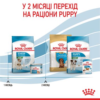 Корм для новонароджених собак ROYAL CANIN MINI STARTER 8 кг, 8 кг