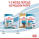 Корм для новорожденных собак ROYAL CANIN MINI STARTER 8 кг, 8 кг