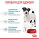 Корм для новонароджених собак ROYAL CANIN MINI STARTER 8 кг, 8 кг